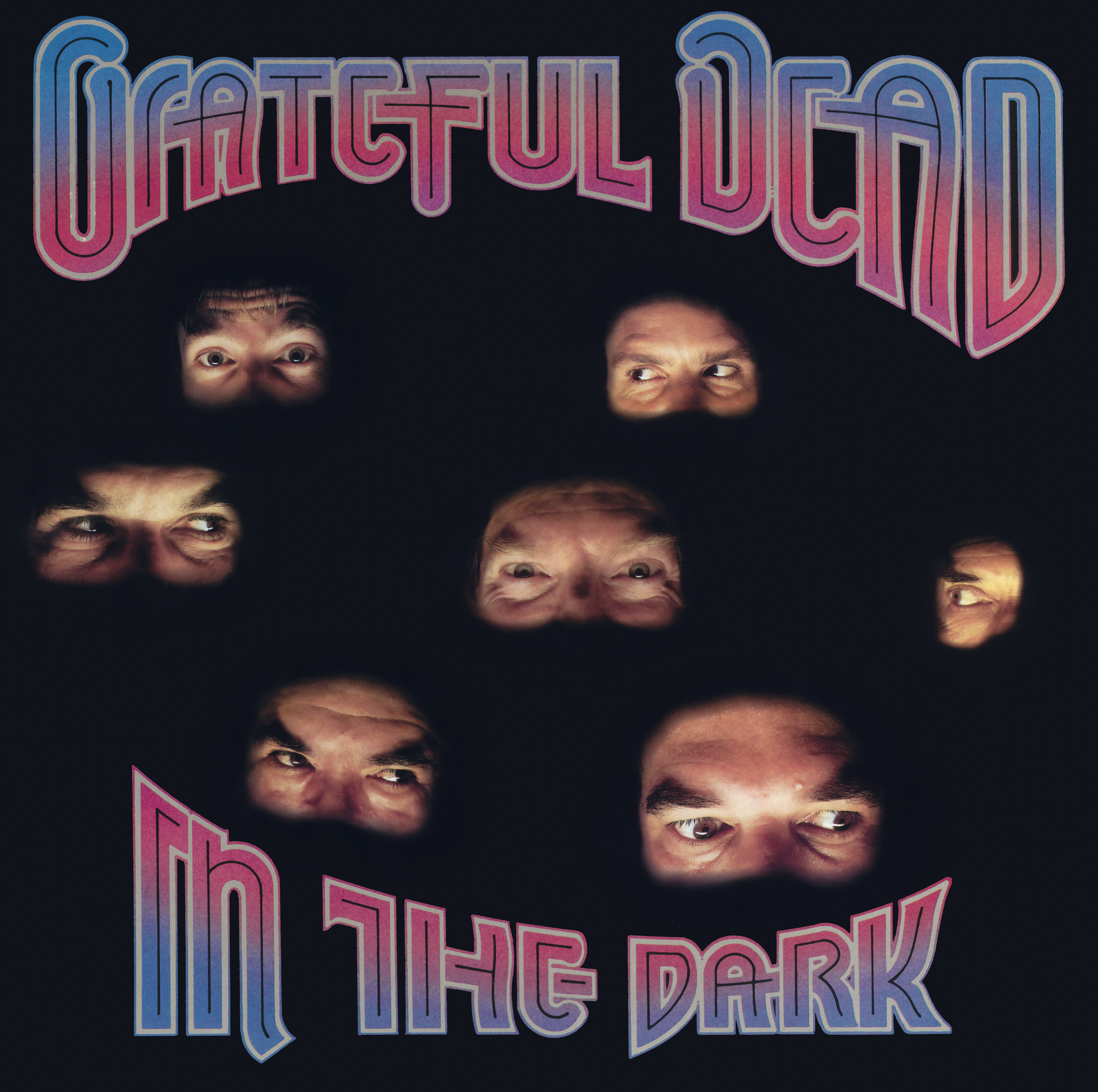 Grateful Dead - In The Dark, Vinyl Album